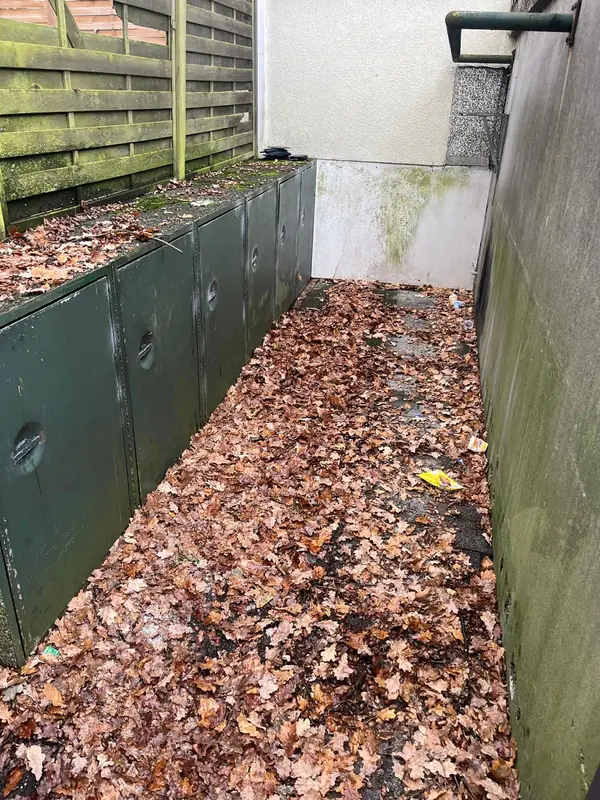 Vorher: vollständig laubbedeckter Weg zwischen Zaun und Garagentoren