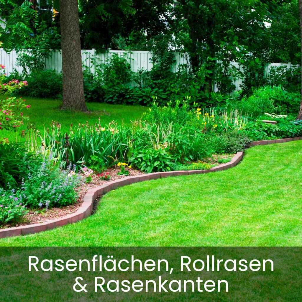 Rasenfläche rollrasen