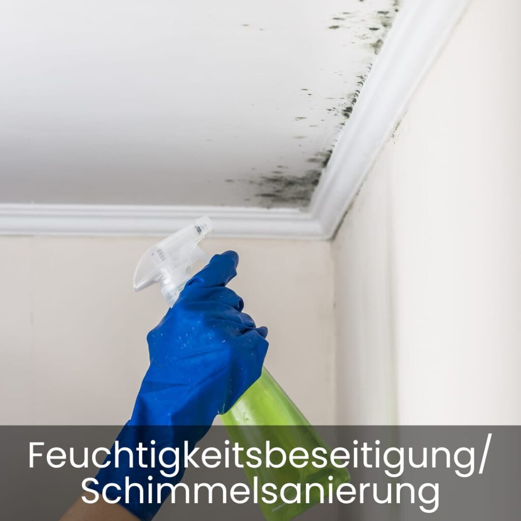 schimmelbekämpfung