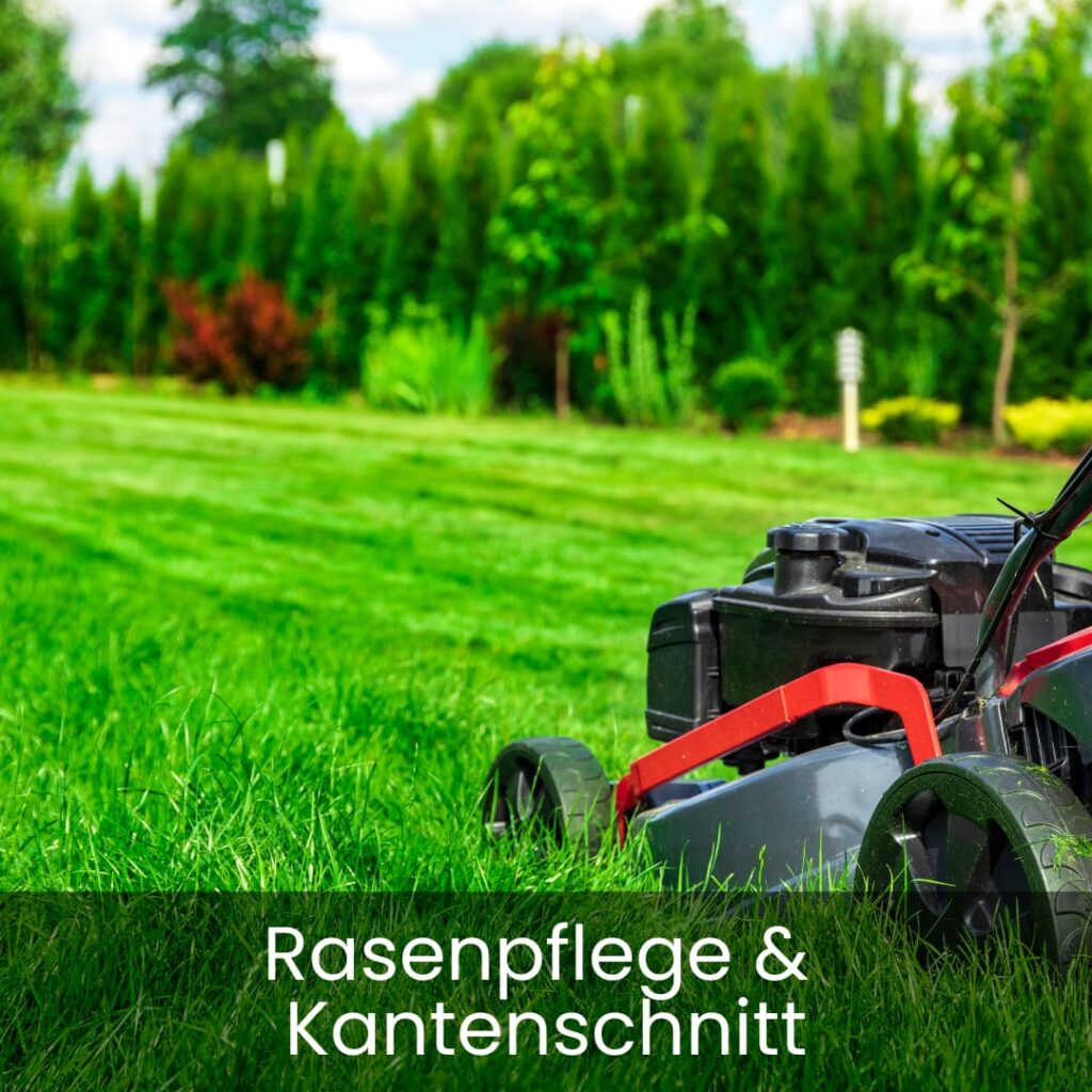 Rasenpflege und Kantenschnitt