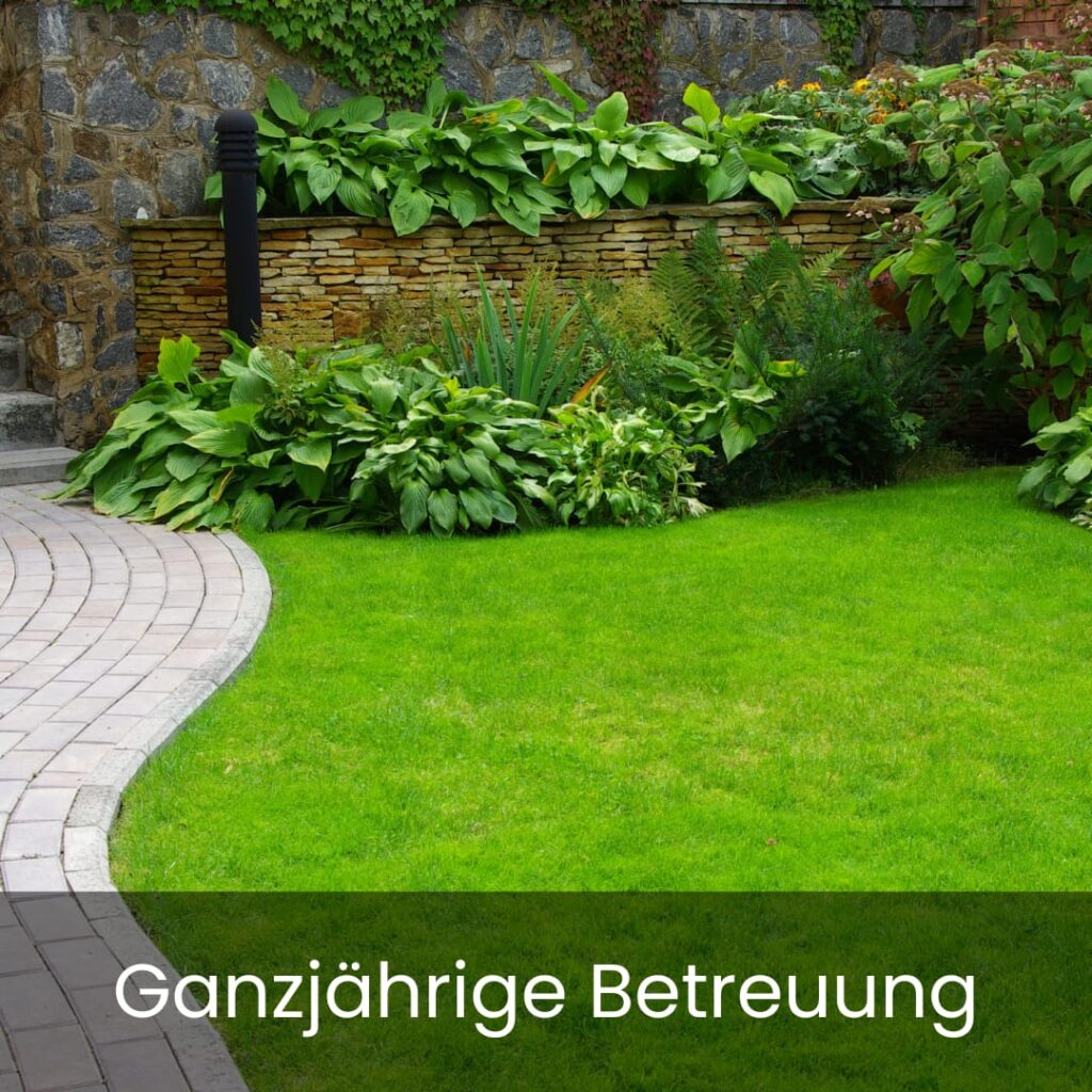 Ganzjährige Betreuung