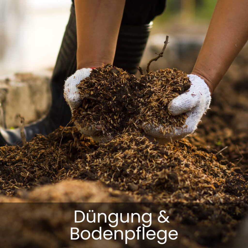 Düngung und Bodenpflege