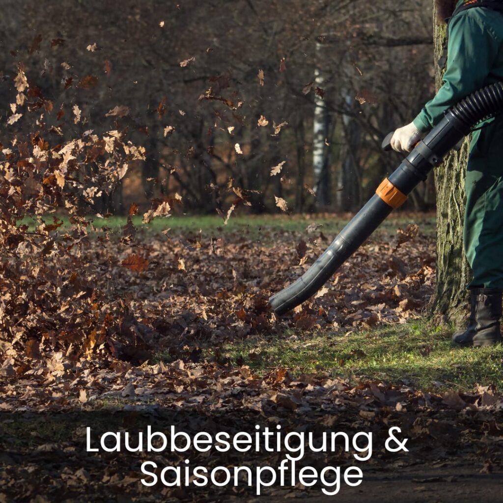 Laubbeseitigung und Saisonpflege