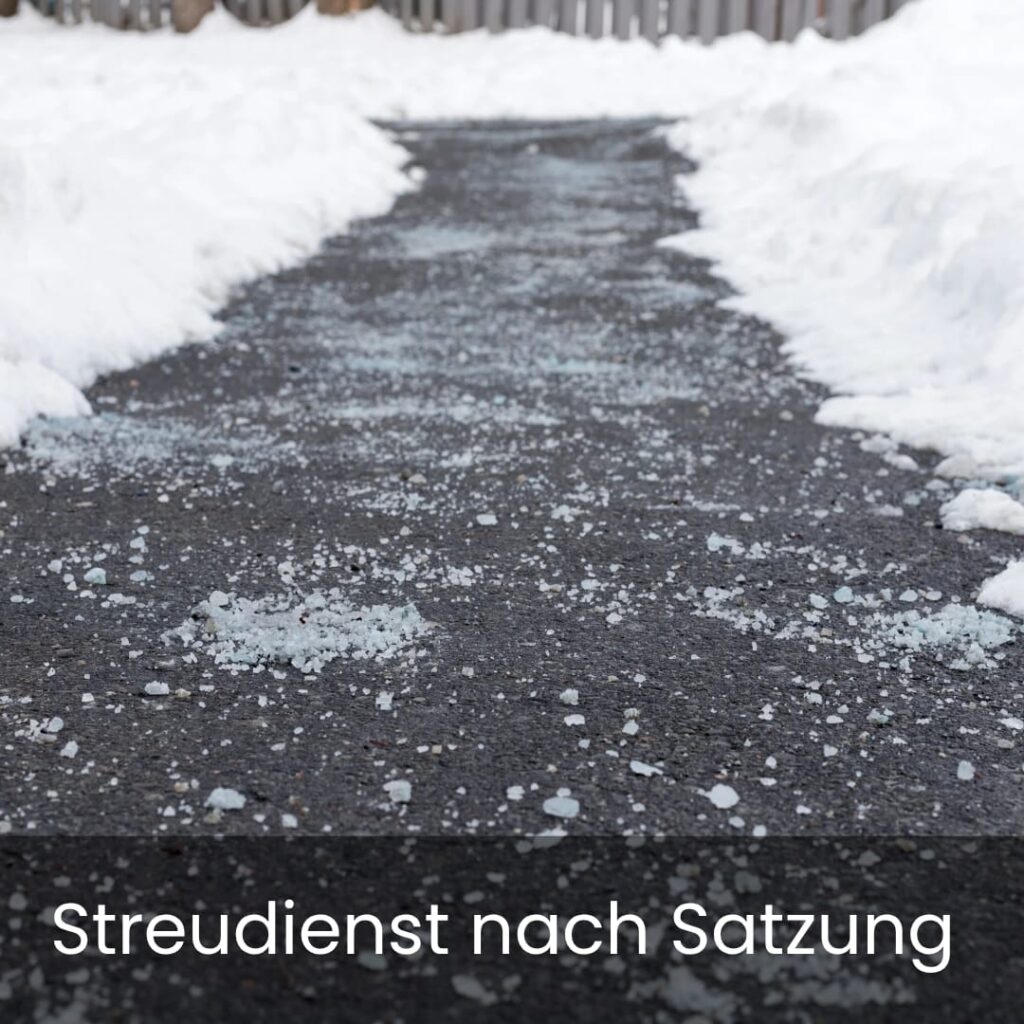 Streudienst