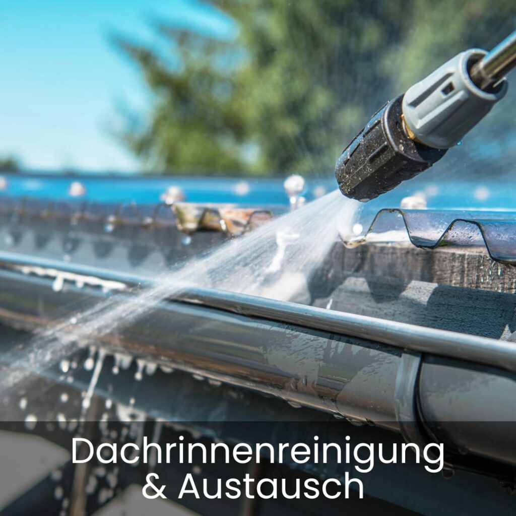 Dachrinnenreinigung & Austausch