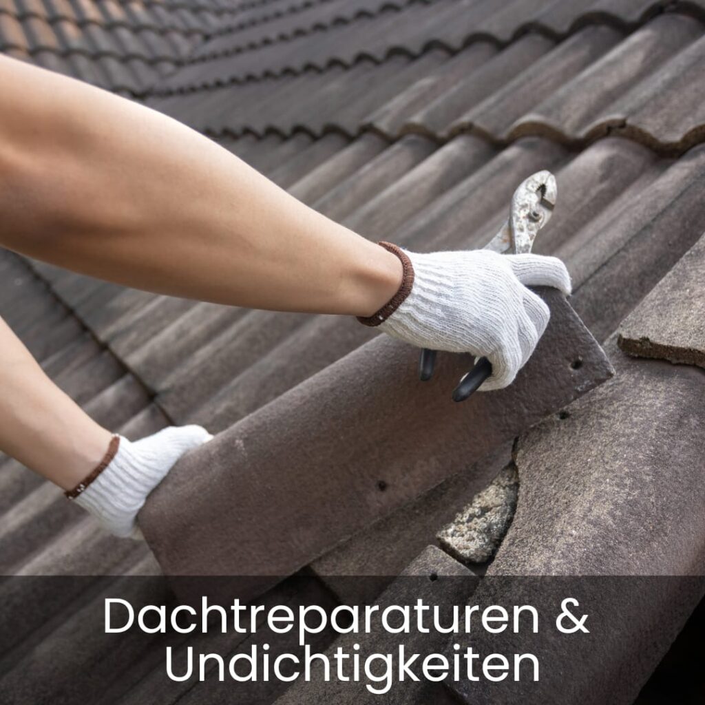 Dachreparaturen & Undichtigkeiten
