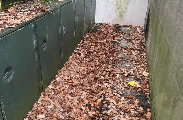 Vorher: Laubbeseitigung an einer Garagenzufahrt