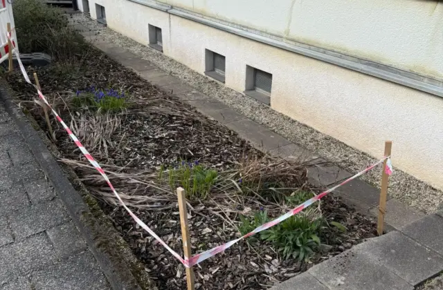 Vorher: Beetgestaltung an einer Außenanlage