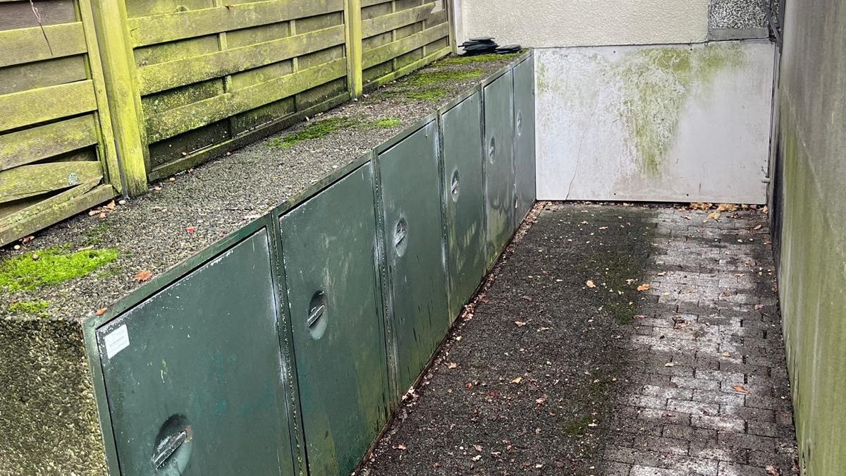 Nachher: Laubbeseitigung an einer Garagenzufahrt