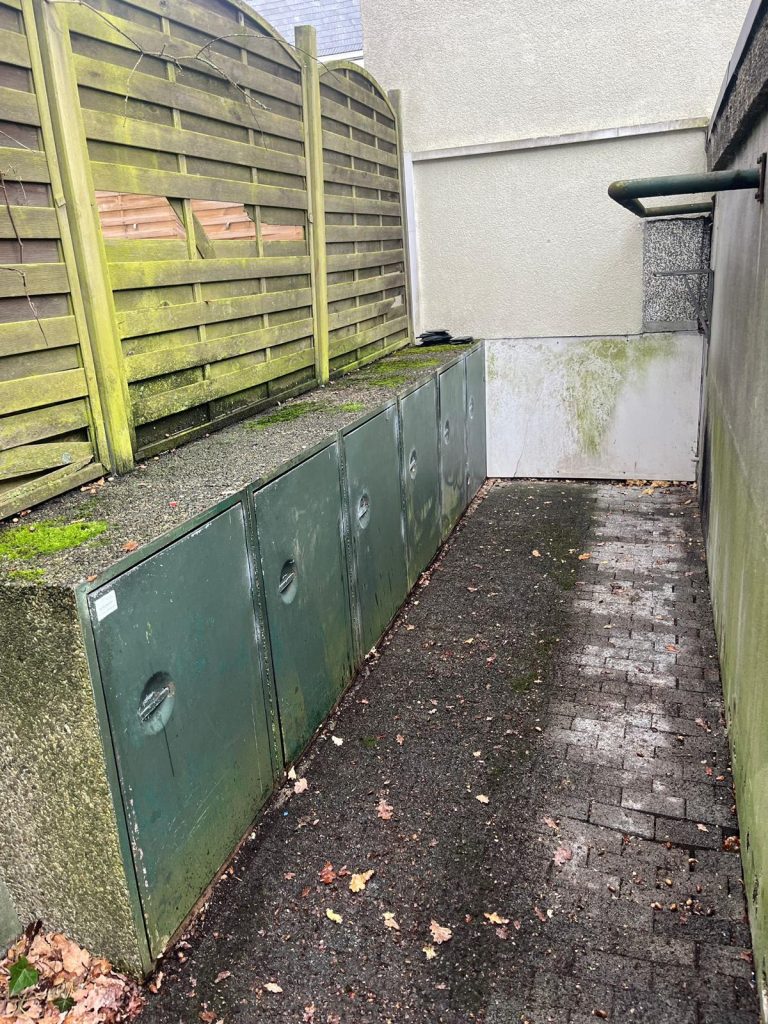 Nachher: Laubbeseitigung an einer Garagenzufahrt