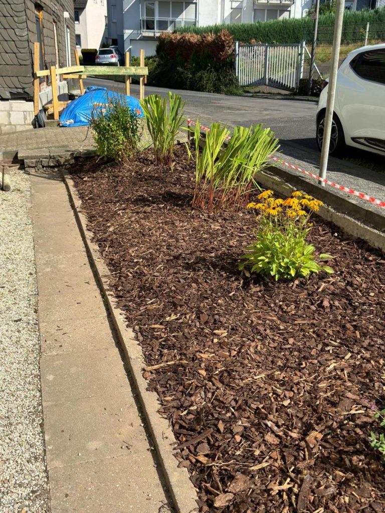 Gepflegtes Beet mit Rindenmulch, Ziergräsern und Stauden im Rahmen der laufenden Gartenpflege